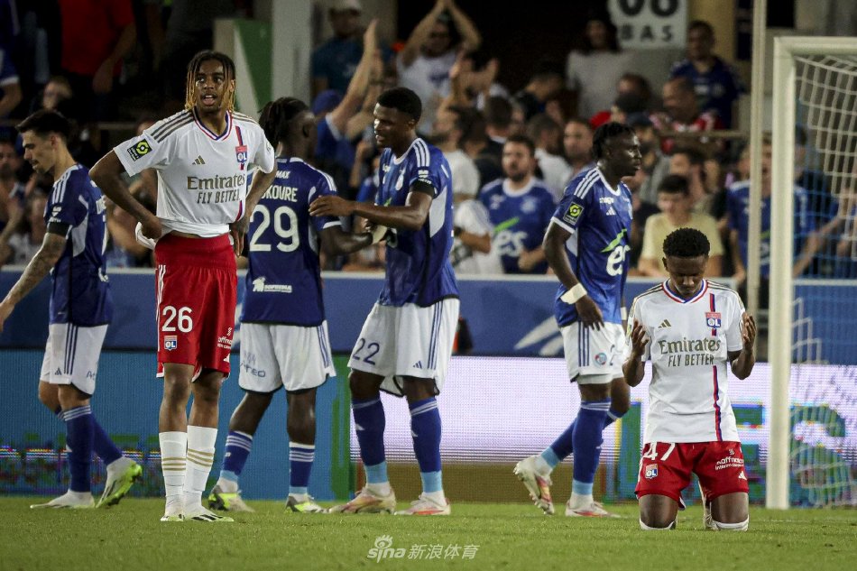 掷项群赛 掷项群赛